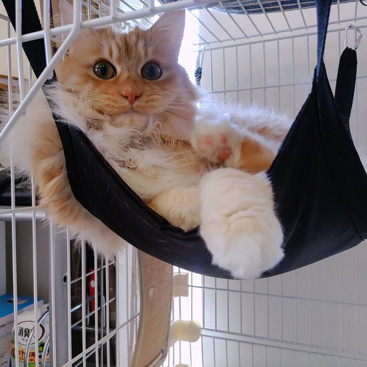 Beda3025 24be 4011 8581 715c5909f491 1711849218438