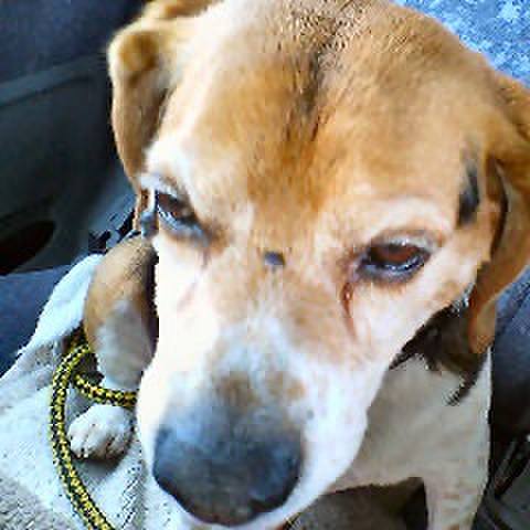 Beda31f5 f606 4582 9331 cfc382cf0f3d 1774842339286