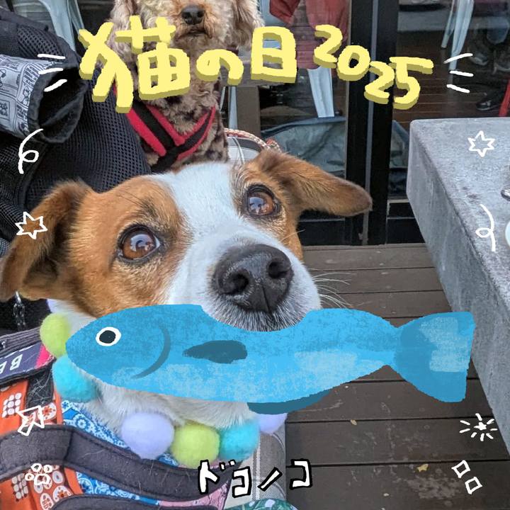 Beda5d16 d4ea 442d b2b8 9071ec04b643 1740697536356