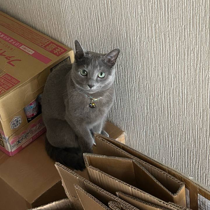 Beda83a0 c1a7 44c9 be87 62bcd4ccb436 1683072346759