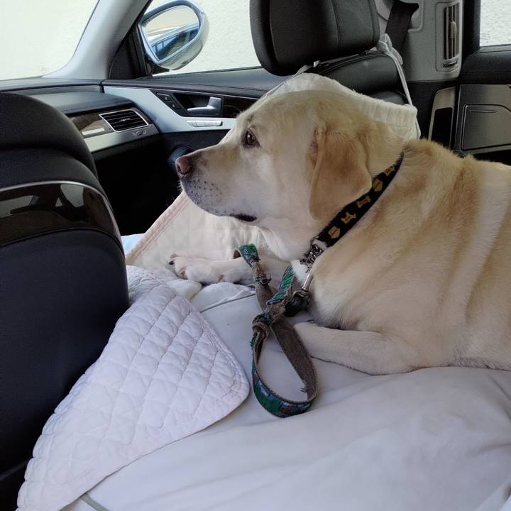 Beda8877 22a0 470c 9243 7dde7e1645a9 1693882259031