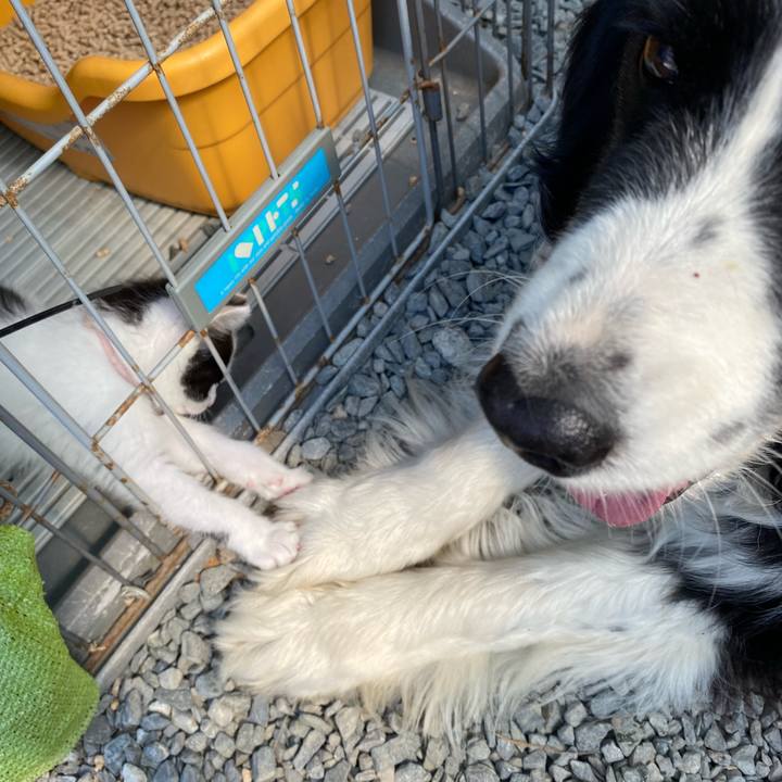 Bedad754 99e5 48f6 8927 ab312220cf10 1652834434300