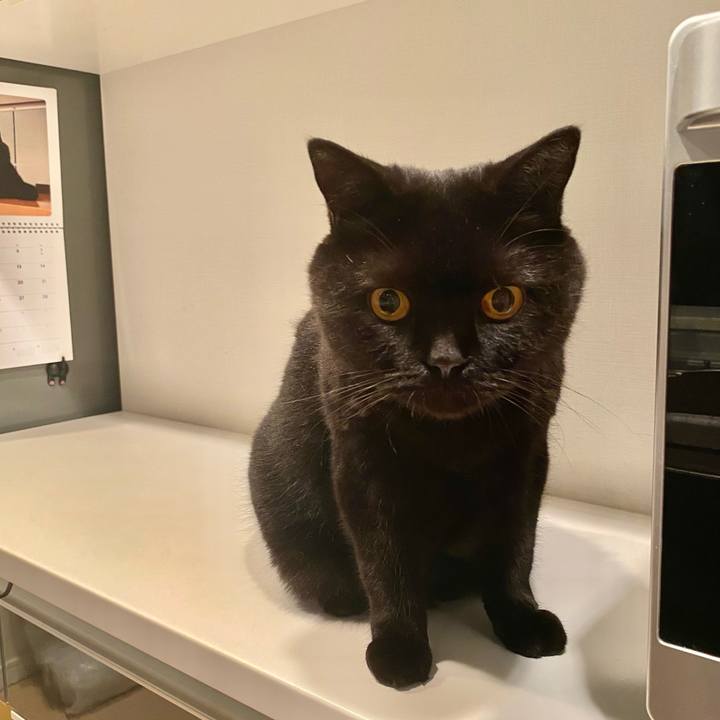 Bedb0267 56ac 45d3 9617 9d5d5d62f746 1727353124778