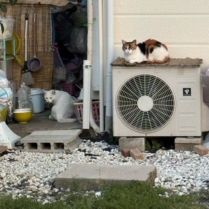 Bedb1617 752a 4655 a87e 2e932ffb2e18 1757203752452