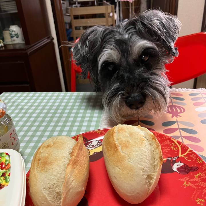 Bedb3b96 e20c 4684 ab7d 4d210c9a6b46 1715823293387