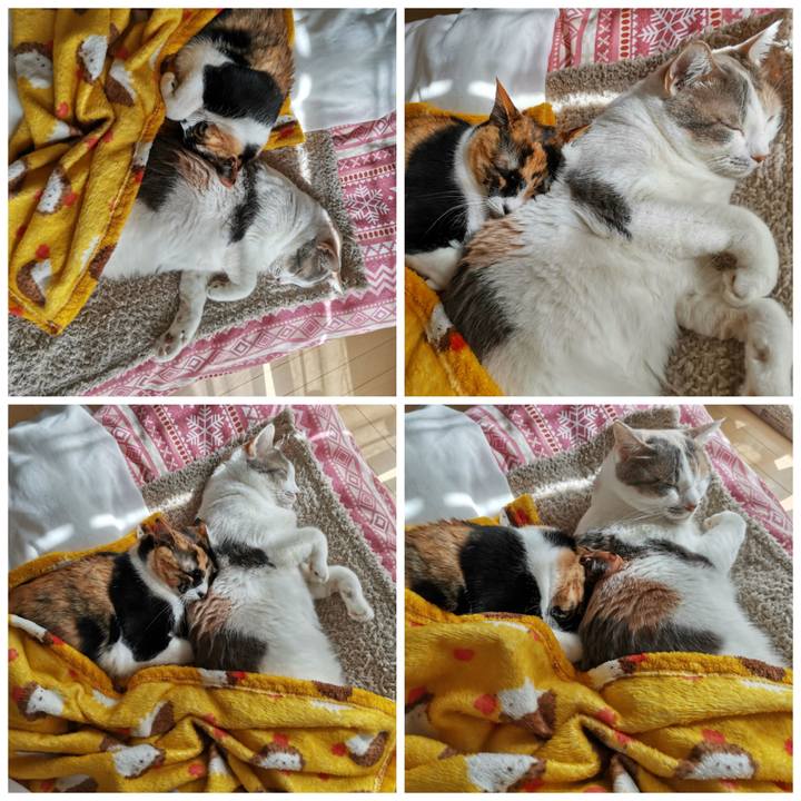 Bedb7674 68ab 425a b85e f50a35cabb96 1644552224972