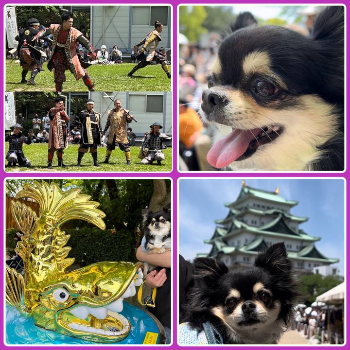 Bedbde58 fd70 42a5 ae43 bf78045df38e 1683094022680