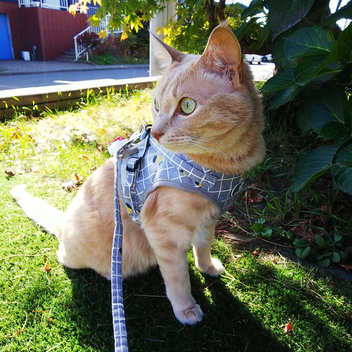 Bedbfe80 862c 442c a998 abf940399216 1633750525049