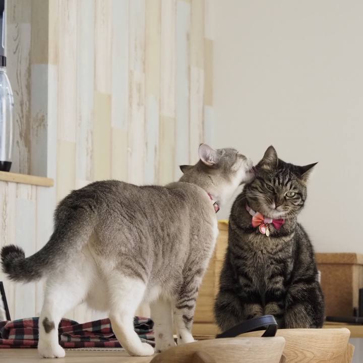 Bedc1a77 ef7e 439f 805b a5034e3409da 1649472790692