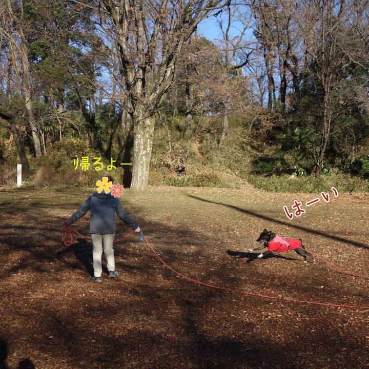 Bedc4171 4aed 4937 bf7b 15a0ff6349e4 1703553926912