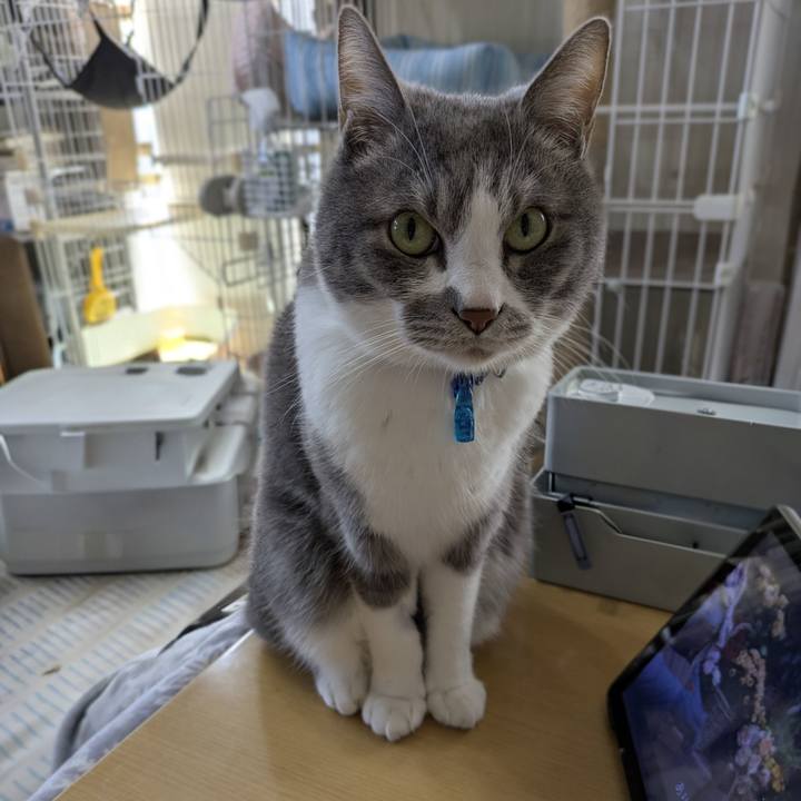 Bedc4465 09ca 470c b82f e01a109e1499 1772330721945