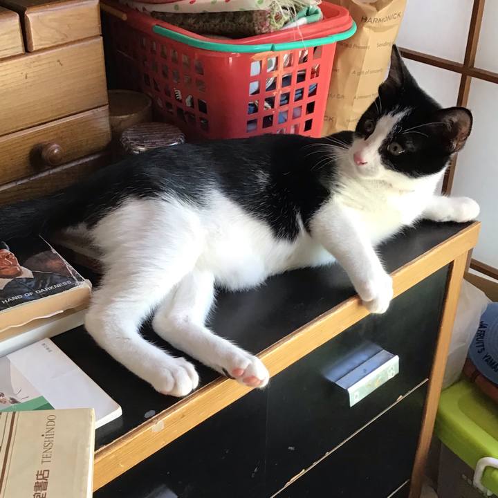 Bedc504e f523 496d 930f 83e6d2c396dd 1628212050360