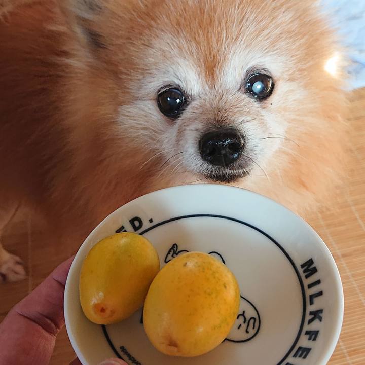 Bedc5904 bf0c 4ef5 b370 56da8bcb0bfc 1593212562215