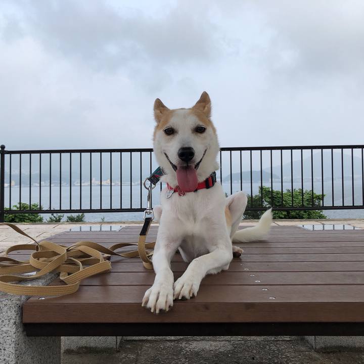 Bedce628 e813 48a0 94fb ff8540d8f034 1596798227274