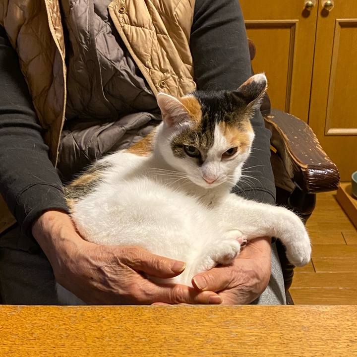 Bedd3d40 7830 477e 908f 395f84e3efcc 1769341427477