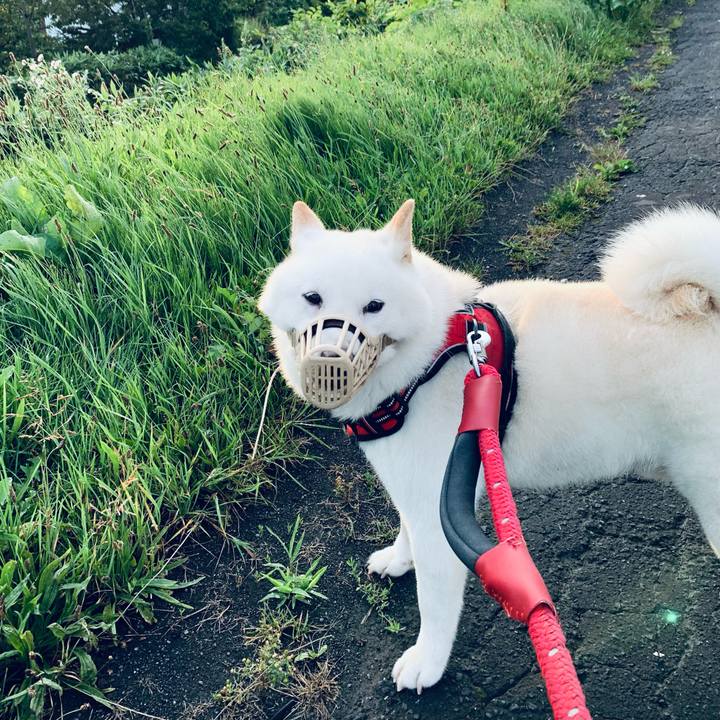 Bedd7f81 df08 4e71 a922 84a6e3125750 1659386094764