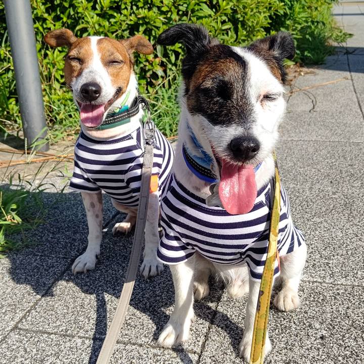 Bedd8a50 cfa3 455d 818b 5505ceb7f534 1689463557472