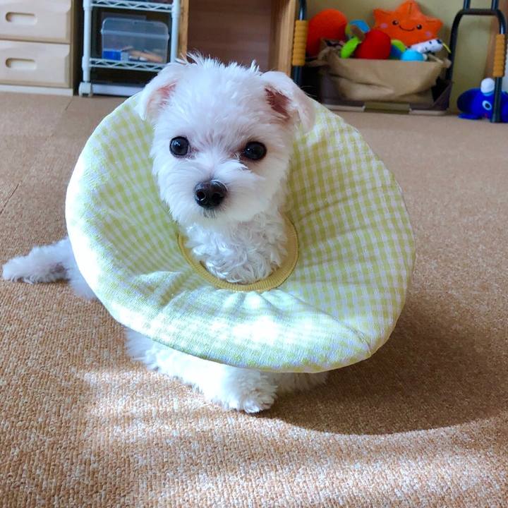 Beddfb4d ee65 4569 a39e 30ebf88c5514 1542692473009