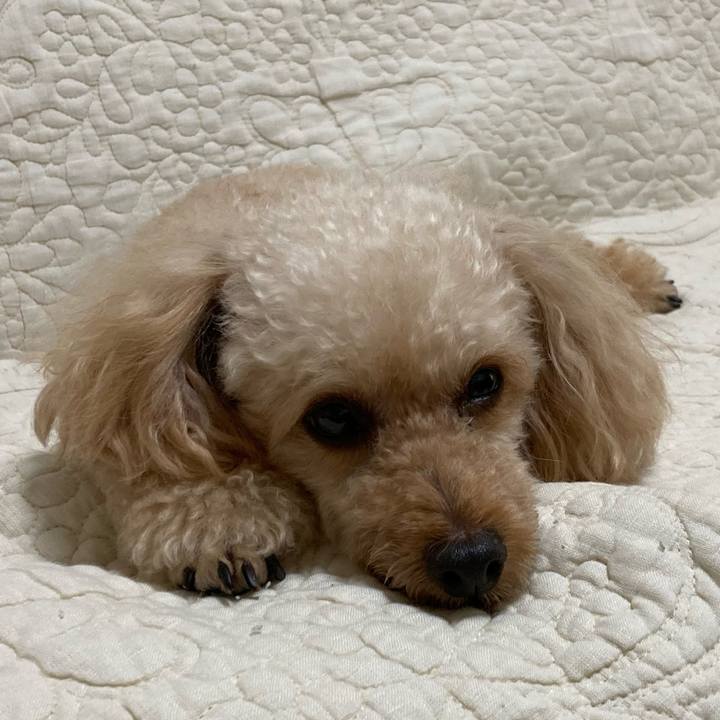 Bede587a 8fb6 401f 8f44 07e3e21df64c 1630804328910