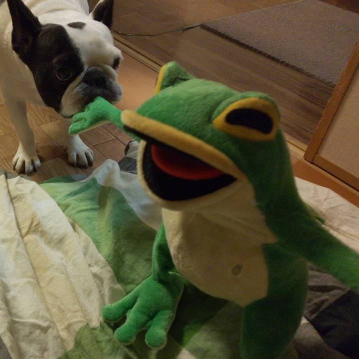 Bede8247 607b 4a5f 9cd7 675ecd3c6fe1 1570020211192