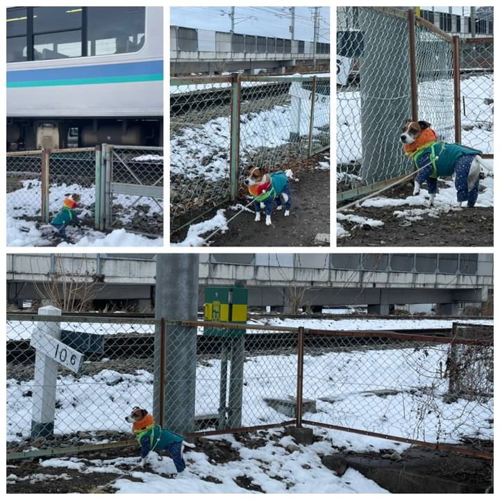 Bede87b1 05e8 488c a2ff 1055b41f81a1 1704888338708