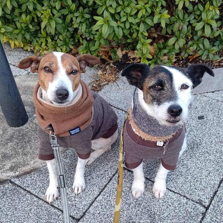 Bede8b7b 5805 47d9 86f4 9c3ccb2a8011 1707345271492