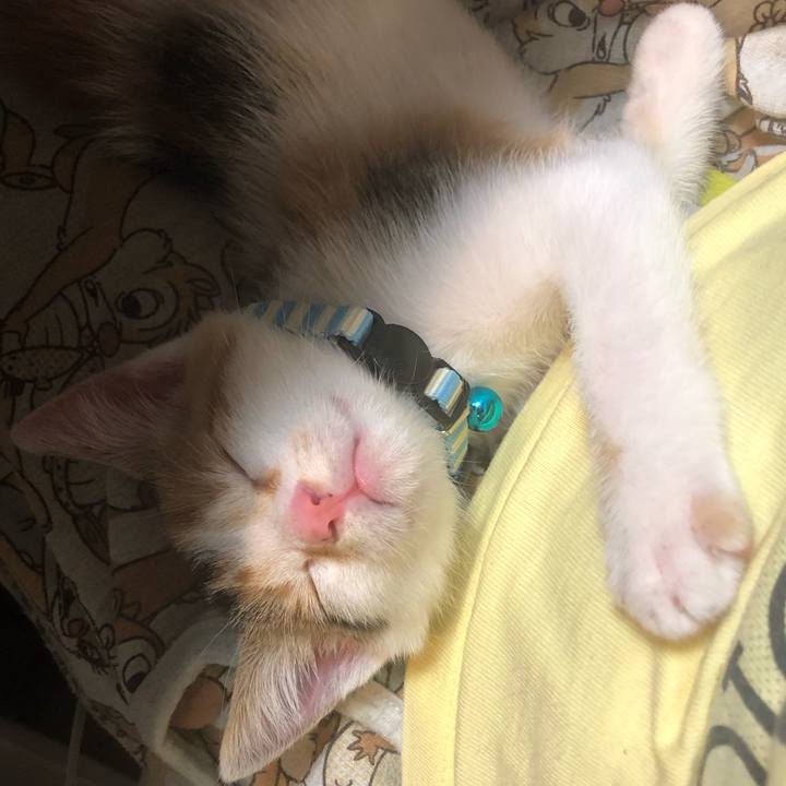 Bedeab57 7b52 4043 b767 b8ce608f597f 1562039527510