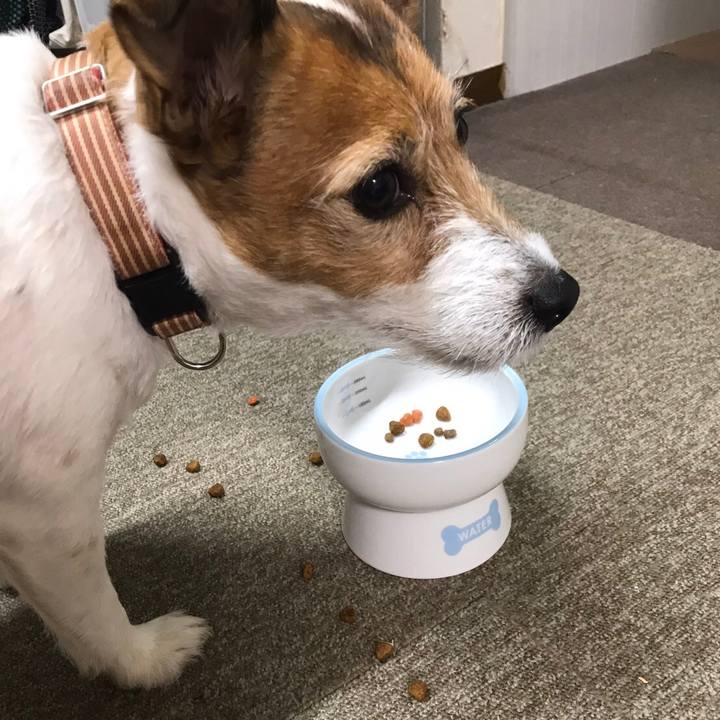 Bedec662 40a2 49df a899 49bf5242b9fc 1577020012323