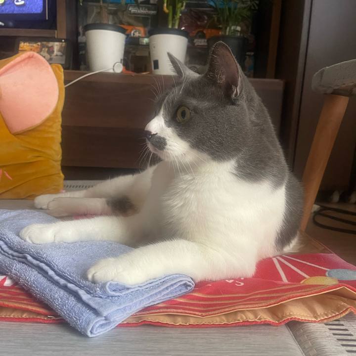 Bededac6 14a9 472a 8929 f4e6e2fc5d05 1757115982246