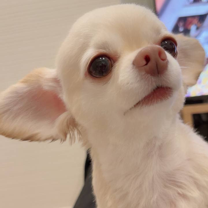 Bedf1b97 1b7f 4cee 9869 3ec320b11473 1722073931948