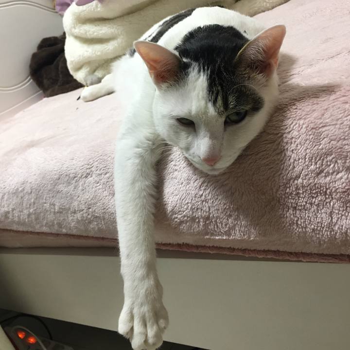 Bedf202b 7123 40c3 82de 979a3bb95034 1518327821976