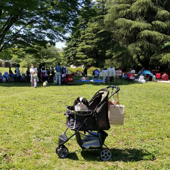 Bedf3152 188b 44ab b913 eaa4f09ca23c 1681642994553