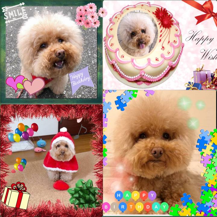 Bedf373c 053b 4584 995e 3e87fe251358 1546433928163