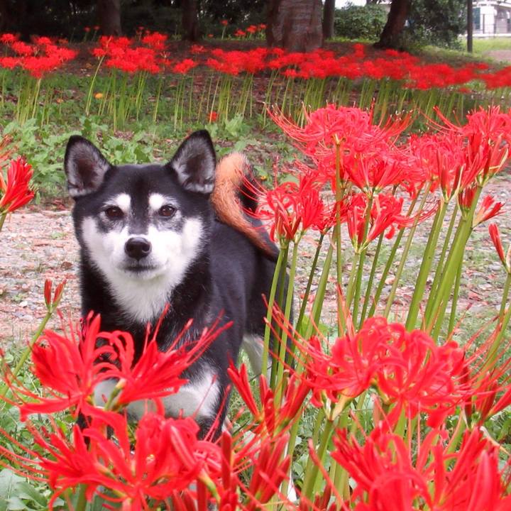 Bedf3b6d 02ea 46f0 a2f7 6029f12f0dba 1601594060433