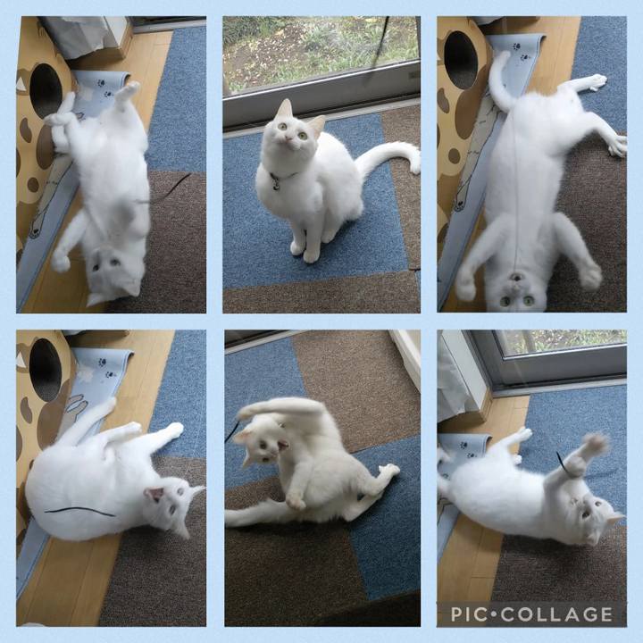 Bedf6be8 9aea 419d bceb 1072e7141a62 1680766218821