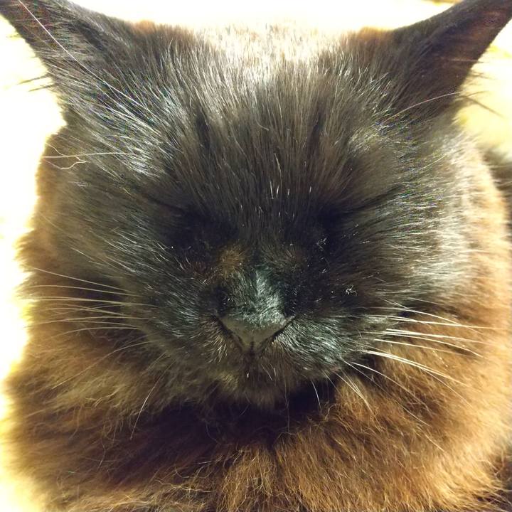 Bedf7218 f85f 43f9 864b 06906109b349 1645361784836