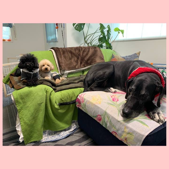 Bedf7e10 35b8 4a44 b0ee 5481b04a738a 1551048378894