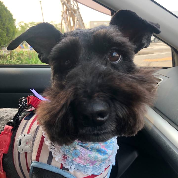 Bedfb9c2 2de3 4334 afd1 a0fbf1b253cd 1650441544132