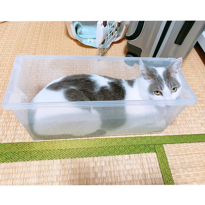 Bedfcd97 2713 4a10 9a2f cc21ccc4a4cc 1601516904860