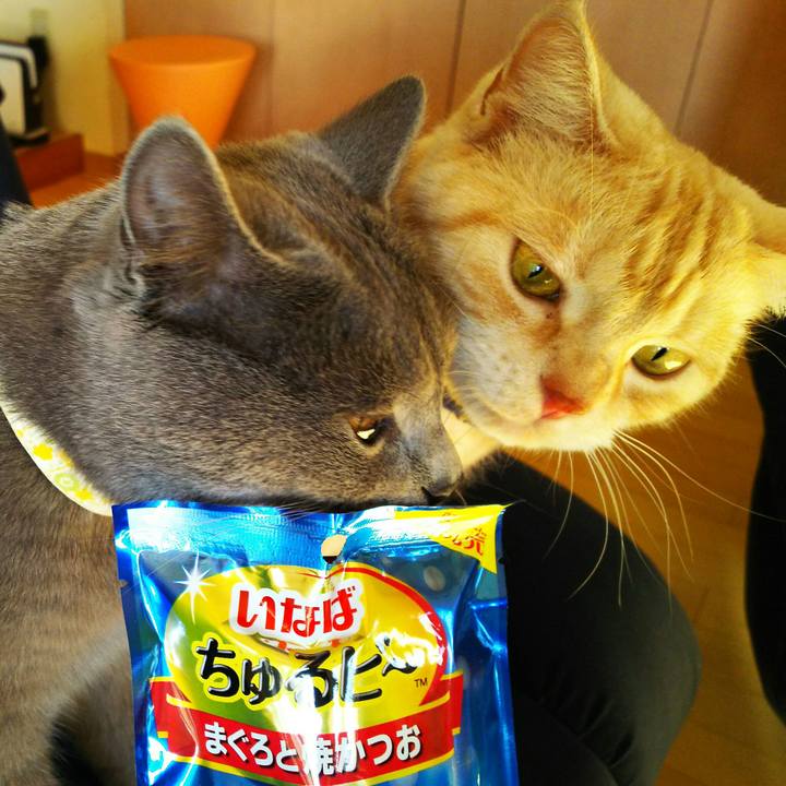 Bedfef4f 89be 493a 95ee 3ef323ac79df 1510810412002