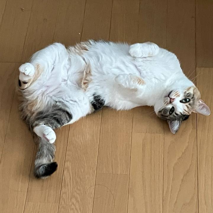 Bee03f27 6df1 498d a0c1 7f56e32c0ae8 1759281862712