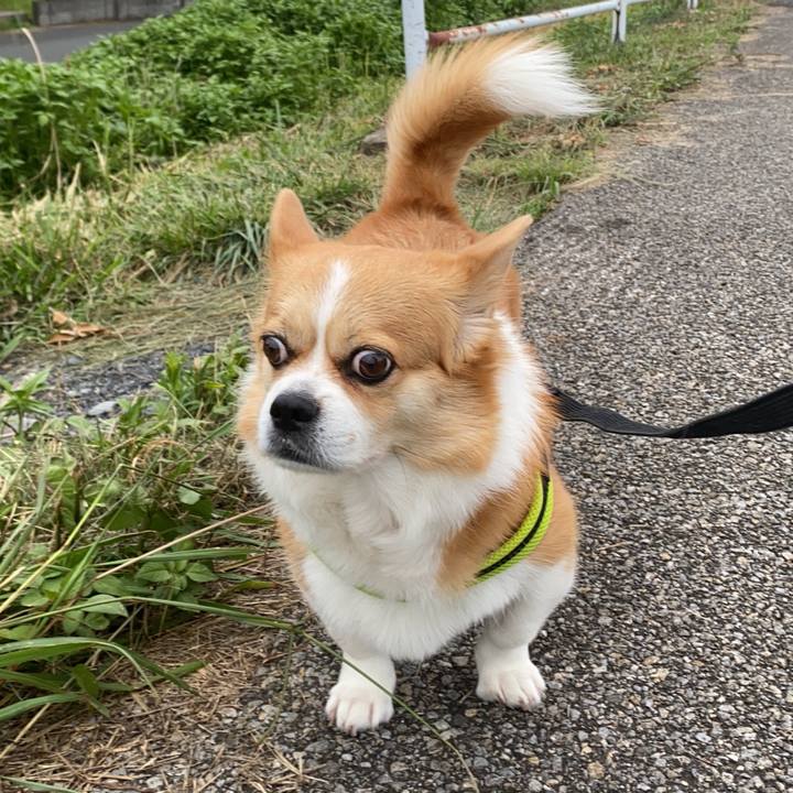 Bee07884 753d 45c0 a689 994218243590 1752238243954