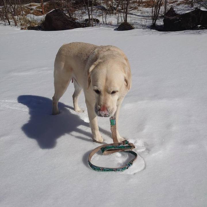 Bee07f44 905f 46c2 90ca c45e41df7adb 1675249929373