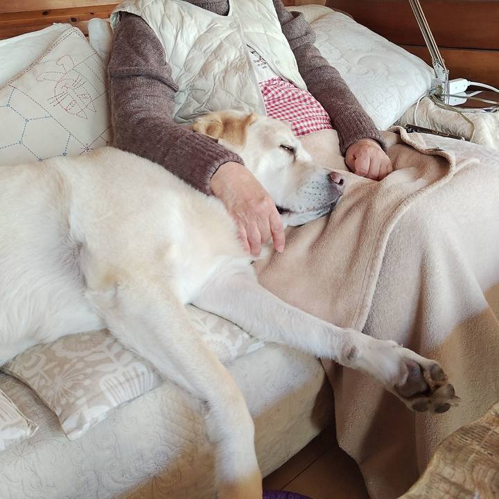 Bee0c2d0 033d 4267 ad44 f9b0ccfe5ce5 1765106256784