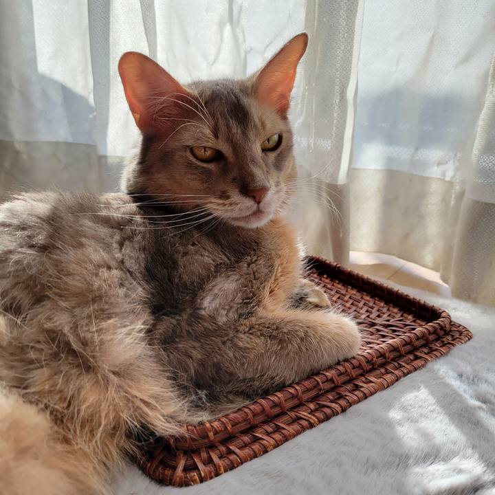 Bee0c4f5 101c 48b3 8de2 014664b0d840 1638664196566