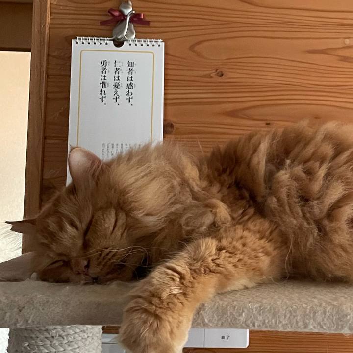 Bee0c52c 091c 4583 8d27 316aa8dde4e6 1722036823724