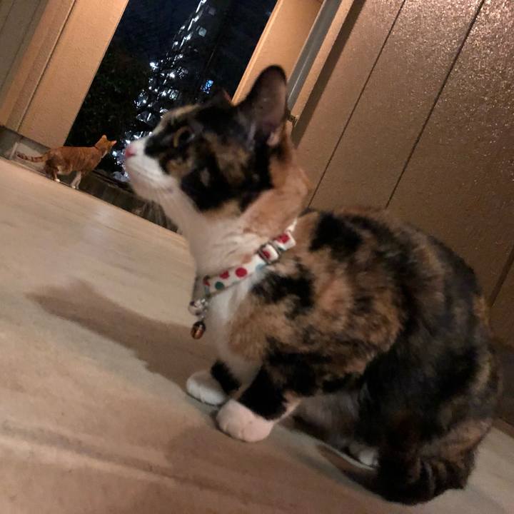 Bee0c9e1 8799 42e4 8b4c d61453905904 1583152830988