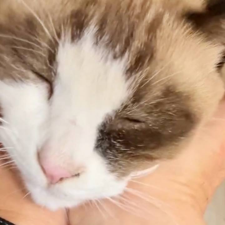 Bee15815 42c1 457f 9da9 ad59fdd28156 1731554437138