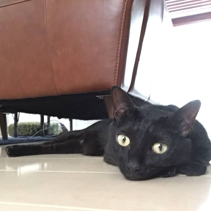 Bee16e2b 6352 40cb b850 278e93fa3788 1564792866611