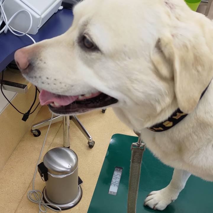 Bee1b01c 2c03 4a55 af7e 0553b864dea1 1648352289764